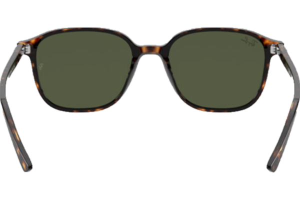 RAY_BAN LEONARD RB2193 902/31