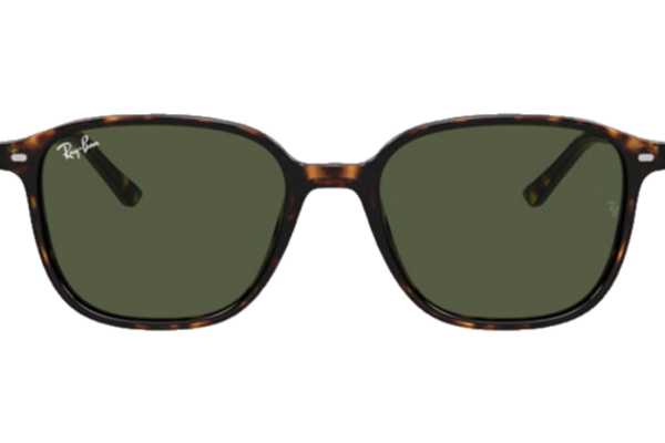 RAY_BAN LEONARD RB2193 902/31
