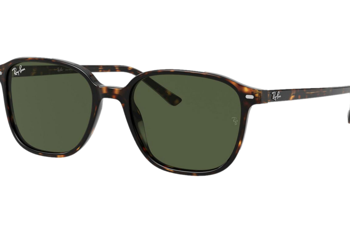 RAY_BAN LEONARD RB2193 902/31