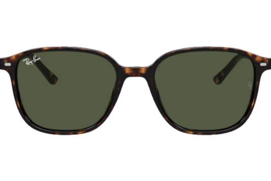 RAY_BAN LEONARD RB2193 902/31