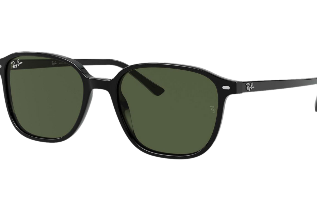RAY-BAN LEONARD RB2193 901/31  
