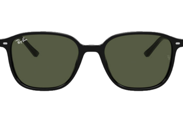 RAY-BAN LEONARD RB2193 901/31  