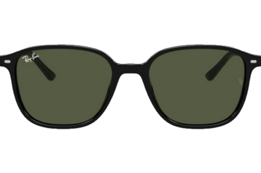 RAY-BAN LEONARD RB2193 901/31