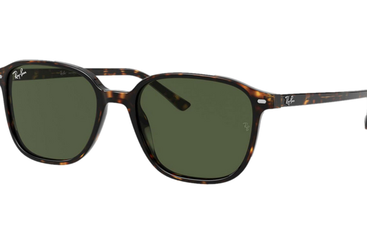 RAY_BAN LEONARD RB2193 902/31