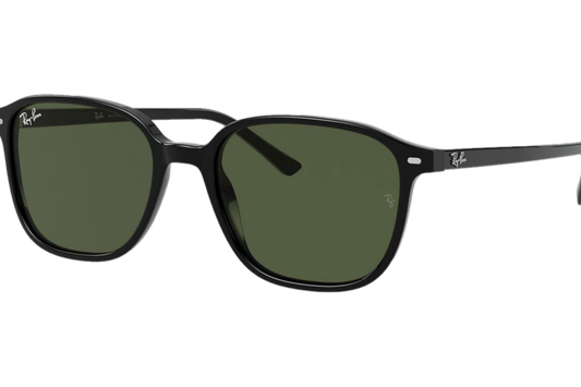 RAY-BAN LEONARD RB2193 901/31